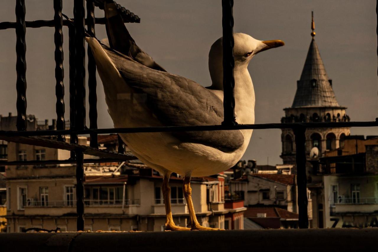 Galata M84 Aparthotel Istanbul Ngoại thất bức ảnh